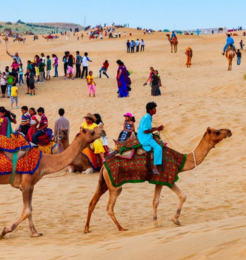 Untitled design - 2026-02-16T164027.867