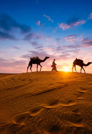 Untitled design - 2026-02-16T170759.522